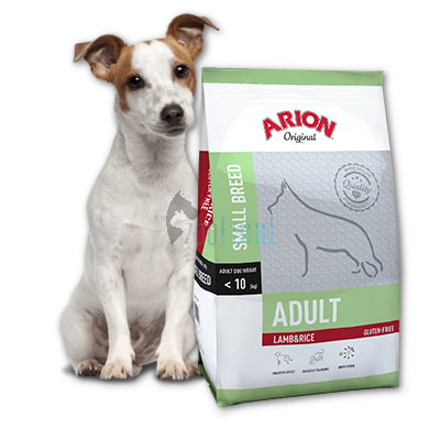 ARION Original Adult Small Breed Lamb & Rice 3kg + Überraschung für den Hund