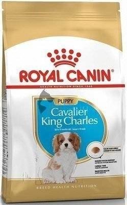 ROYAL CANIN Cavalier King Charles Spaniel Junior 1,5kg +Überraschung für den Hund