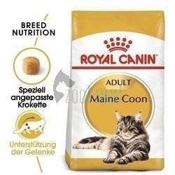 ROYAL CANIN Maine Coon Adult 10kg + Überraschung für die Katze