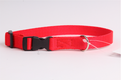 DogStuffs Halsband mit Kunststoffschnalle 25mm/34-60cm rot