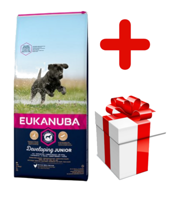 EUKANUBA Developing Junior Large Huhn 15 kg