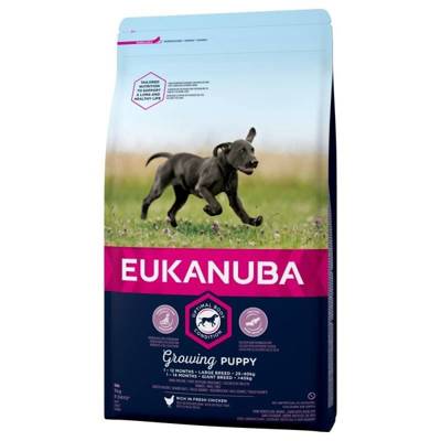 EUKANUBA Growing Puppy/Junior Large Breed 15kg+Überraschung für den Hund