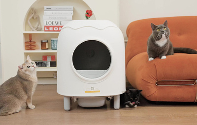 HHOLove iPet- Intelligentes selbstreinigendes Katzenklo + Überraschung für die Katze