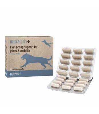 NUTRAVET Nutraquin für Hunde & Katzen 30 Kapseln- schnelle Unterstützung für Tiere mit Gelenksteifigkeit