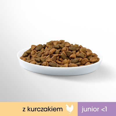 Perfect Fit Junior -1 Futter für Katzenwelpen mit Huhn 750g
