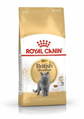 ROYAL CANIN British Shorthair 400g + Überraschung für die Katze