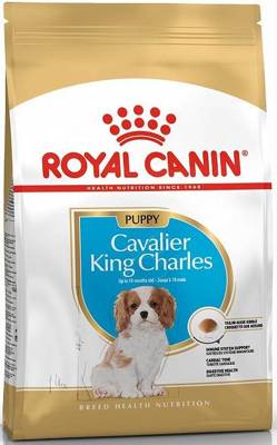 ROYAL CANIN Cavalier King Charles Spaniel Junior 1,5kg +Überraschung für den Hund