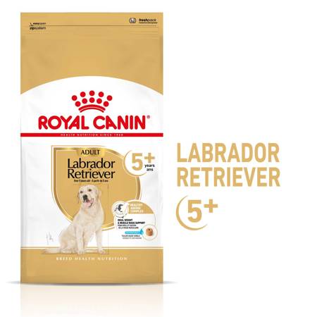 ROYAL CANIN Labrador +5 3kg
