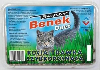 SUPER BENEK Schnellwachsendes Katzengras "DUET" 150g in der Kunststoffbox