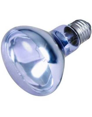 TRIXIE Neodymium Wärme-Spot-Lampe 100W