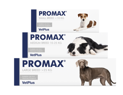VETPLUS Promax Probiotic für mittelgroße Rassen 18ml